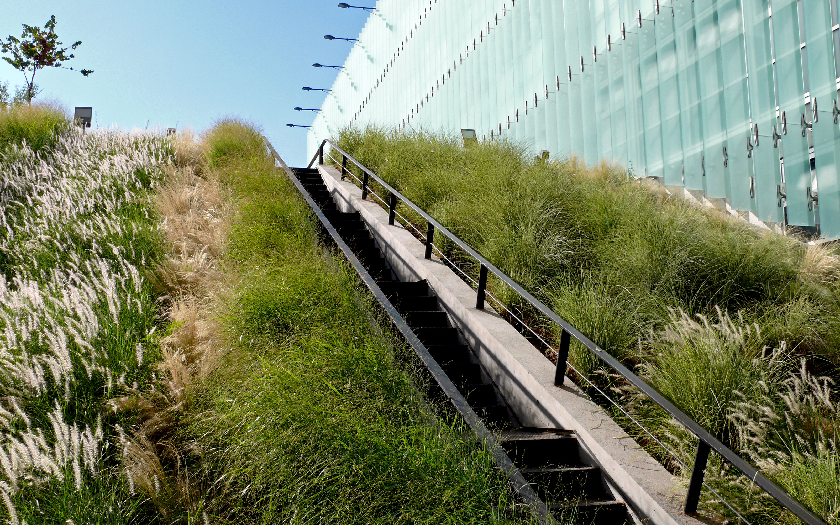 In the pitched roof area Georaster®-elements have been applied to hold the substrate.  Pitched green roof with ornamental grasses and stairs up to the rooftop